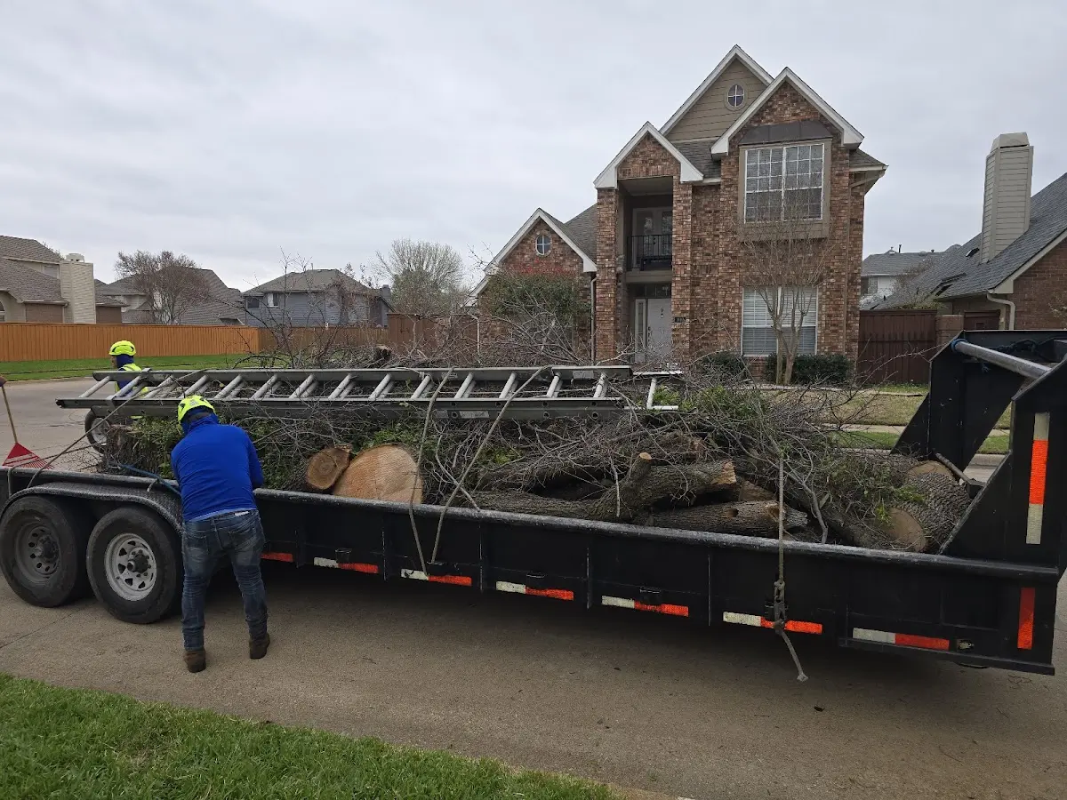 Expert Tree Pest Control with proper safety equipment in Stoney Fork